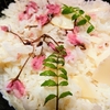 桜とたけのこご飯