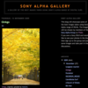 Sony Alpha Galleryに掲載