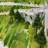 山のシチュエーション　植樹