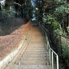 フタコを歩く Vol.3　岡本町の国分寺崖線