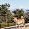 ５９０　富士山と伊豆半島