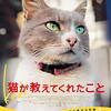 『猫が教えてくれたこと』(2016)　チェイダ・トルン：監督