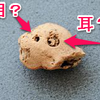 【考古学クイズ】この動物はなんでしょうか【弥生時代の土人形】