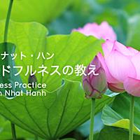 ティク ナット ハンとは 人気 最新記事を集めました はてな