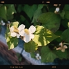 Photo No.1969 / 夏季休暇7日目