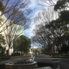 “[cali≠gari] TOUR 14 -The time is out of joint-. at 名古屋 BOTTOM LINE 20190119 ”