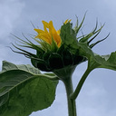 himebaraのつれづれ日記