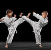 Choosing the Best Taekwondo School in Singapore for Your Youngsters