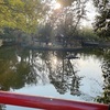 立春に大宮氷川神社へ🌿