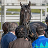 141116京都競馬場＜分割B：エリザベス女王杯以外＞