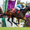 競馬初心者必見☆馬券予想🔥〜府中牝馬S〜本番は次走。本気度を見極める！