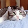 皿洗いを極めるとは？