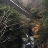 ごろごろ水