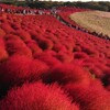 海浜公園周辺の混雑について