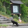 「不妄語」のお話①～虚言の世界から抜け出す～「法の水茎」49 