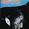 生後2,744日／図書館で借りてきた本