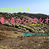 〜白い羊を見たい〜春の竜ヶ岳〜鈴鹿セブンマウンテン