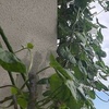 8月月報