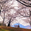 【4月の自分のポストまとめ】4月の自分のポストをまとめました。【新年度】