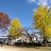 日曜日 街中の秋