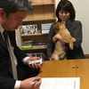 子犬ソラを譲渡しました！