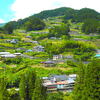山笑ふ