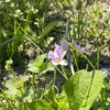 それは、誰の問題だろうか？　～相手と線を引くことの大切さ