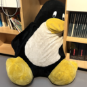 azao_olc’s blog