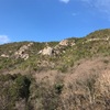 芥見権現山の岩場　20210223