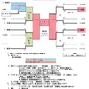 学童：結果&今後の予定❗️