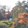 紅葉の久伊豆神社…