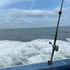 タイミングが合わずだった「ヒラメ釣り」釣果はまさかの・・・