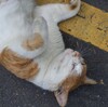 病院も金儲け第一？と思わされた
