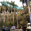 Mood Indigo 2015 開催