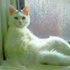 においフェチ現る、、、🙀