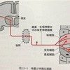 鍼灸の授業記録~20200125~