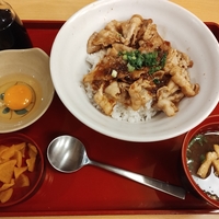 【ジョイフル】すたみな豚丼がうまい！