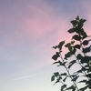 当ブログと私について