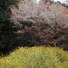 ききとりうるかぎりの