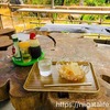 小千谷の錦鯉が見れる名所3ヶ所めぐり～夏の錦鯉とたわむれて～