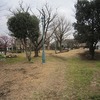 小足立のびのび公園（東京都狛江市）