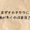 あずきのチカラに虫がわくのは本当？衛生面や保管方法・すぐにできる対処法を徹底解説