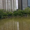 ハンサムくんの映画2題：映画『さようなら、僕のマンハッタン』と『君の名前で僕を呼んで』