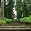 大平町 大中寺付近で昆虫探し😊