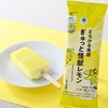 ファミリーマートから「とろける食感ぎゅっと怪獣レモン」が新登場！瀬戸内産「怪獣レモン」を使ったアイス新商品です