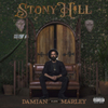  Damian Jr.Gong Marley / Stony Hill