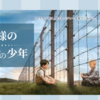 映画『縞模様のパジャマの少年』を観て。実話？衝撃のラストは？？