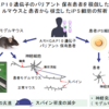 じじぃの「科学・地球_576_心の病の脳科学・発症リスク（ゲノム変異）」