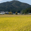 和歌山県の世界文化遺産、丹生都比賣神社（にふつひめじんじゃ）までプチツーリング。ここは白州正子が「天の一廓に開けた夢の園」と言った天野の里。