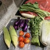 市場の八百屋さんで買って来た野菜(その7)